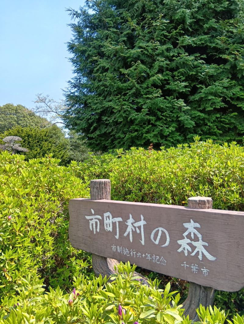 市町村の森