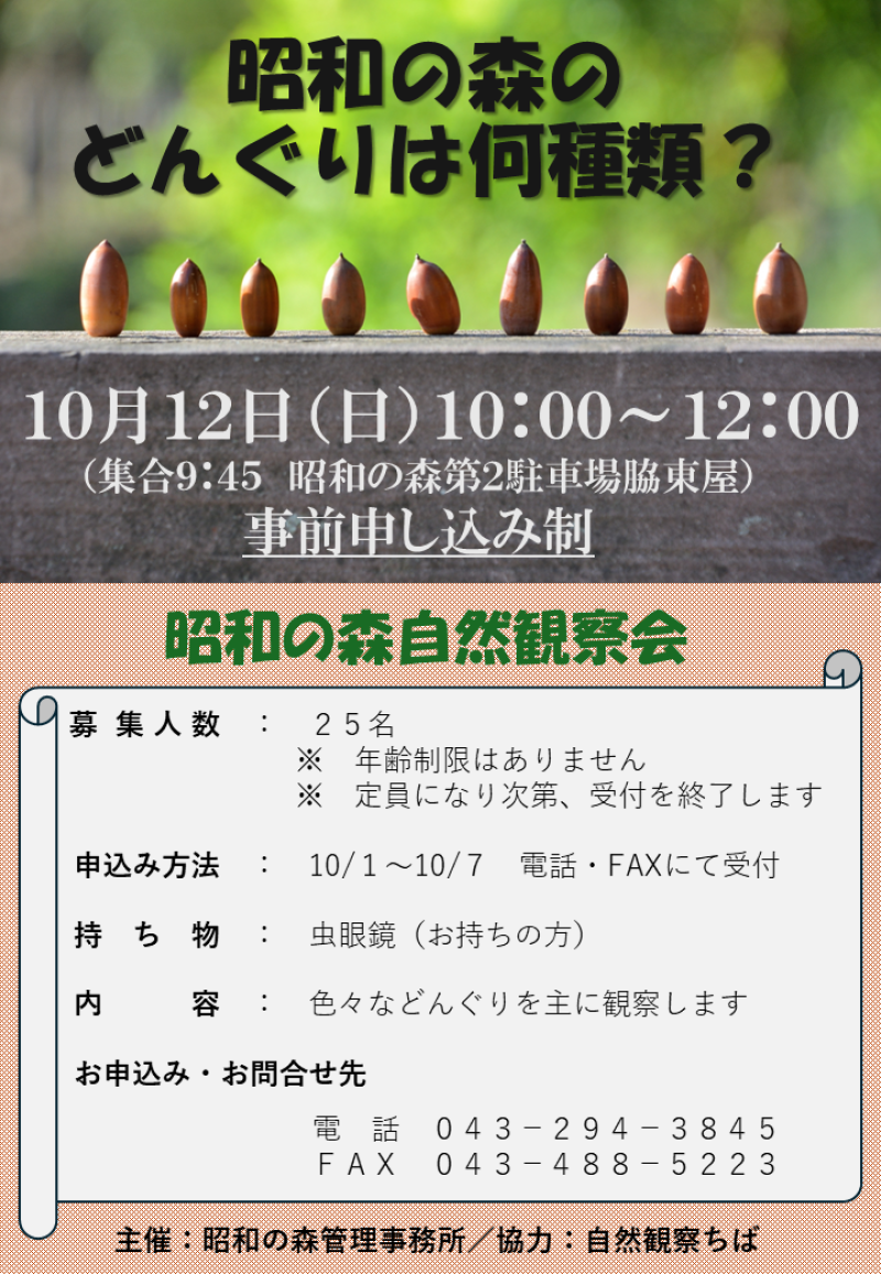 千葉市史 史料編 2, 3, 6, 7／千葉市南部、土気、大森台、生実などの歴史 千葉市史 史料編 2, 3, 6, 7／千葉市南部、土気、大森台、生実など
